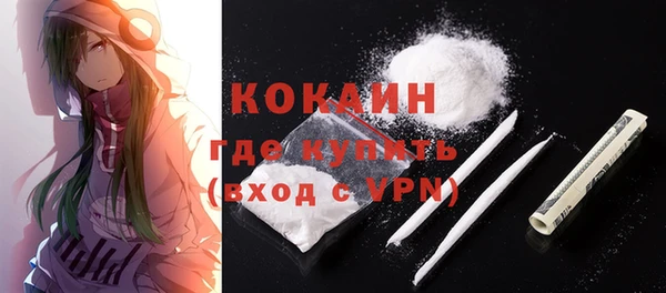 твердый Абаза