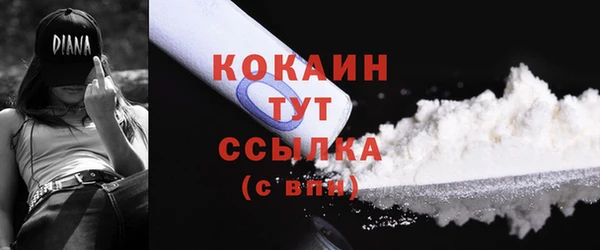 твердый Абаза