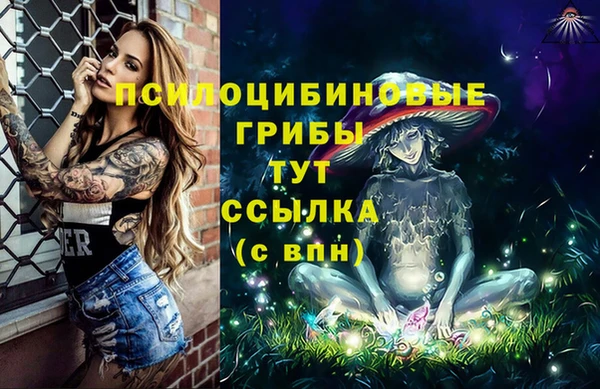 ешки Алексеевка